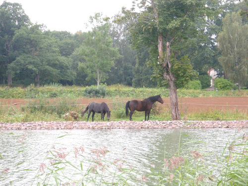 G&ouml;ta Kanal.